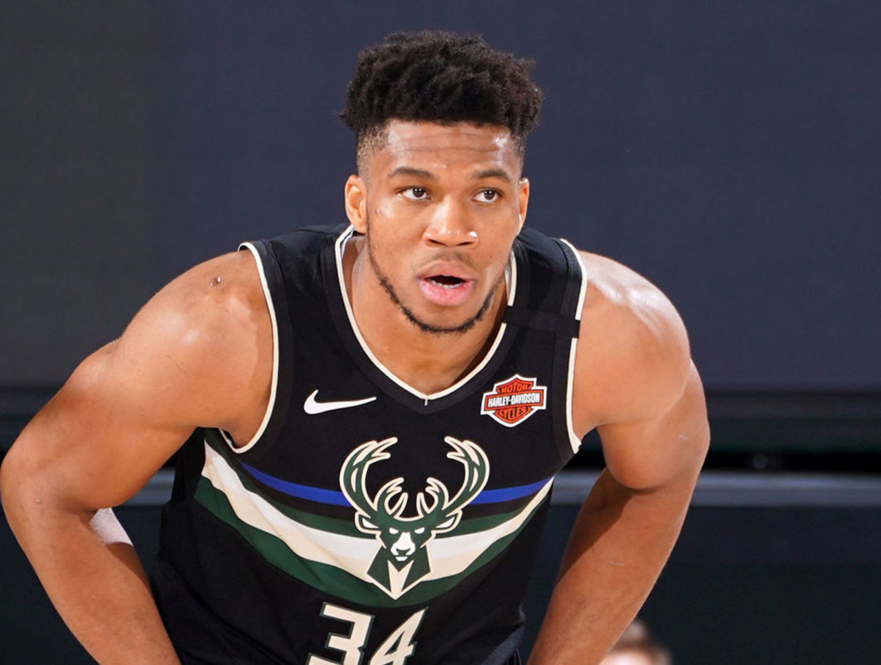 鲁能海南集 鲁能海南集