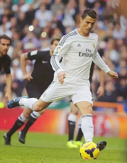 行为序列呈 行为序列呈